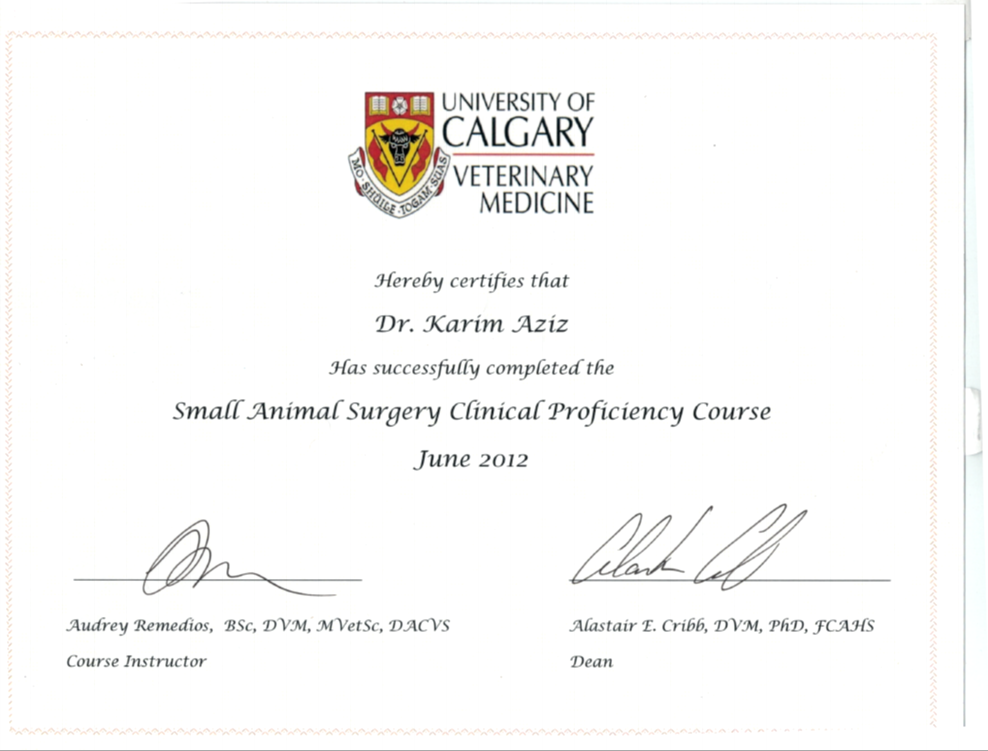 Degree1