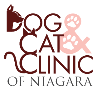 Dog and Cat Clinic of Niagara | Veterinarian Niagara, Welland, St.Catharines