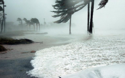 image for Disaster Preparedness During COVID-19